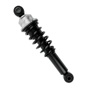 OE CB0216 Oil Pressure Truck Damper for IVECO with Air Spring and Top Eye Mounting 352mm Length