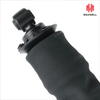 CB0171 Trucks Shock Absorber for Renault with 12mm Hole Diameter and 1 Years Guarantee High Performance