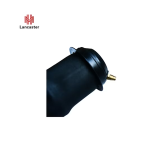 Auto Parts Supplier Front Rear Gas Car Shock Absorbers